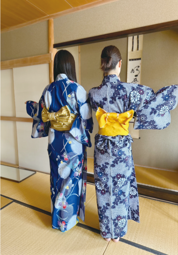 日本分化サークル