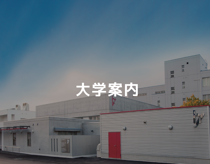 大学案内